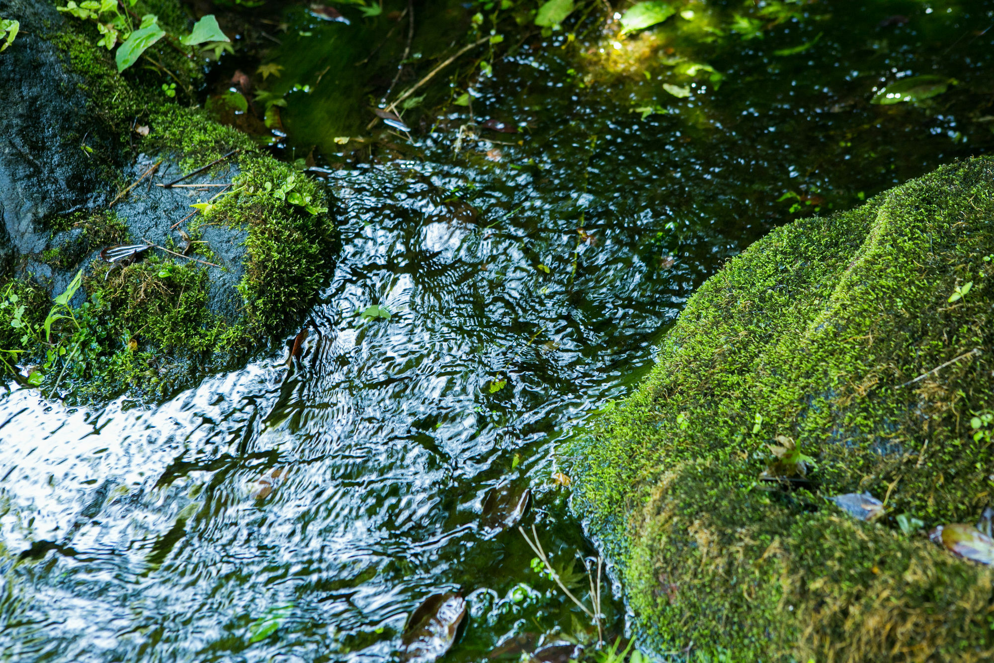 ホテル ゆがわら万葉荘 湯河原町 エクステリア 写真