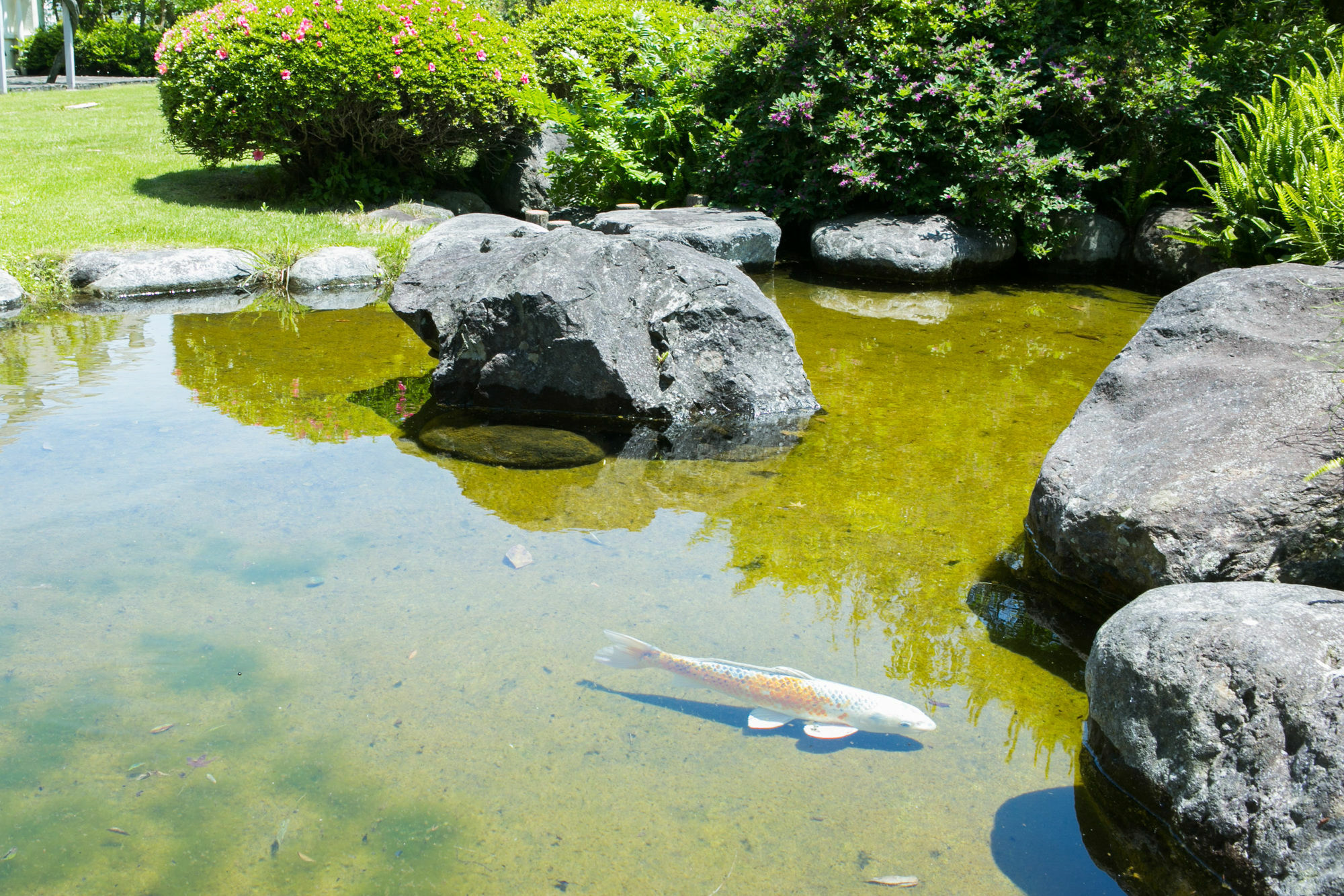 ホテル ゆがわら万葉荘 湯河原町 エクステリア 写真