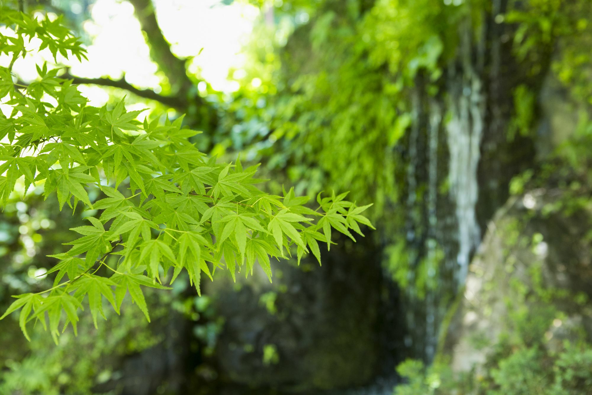 ホテル ゆがわら万葉荘 湯河原町 エクステリア 写真