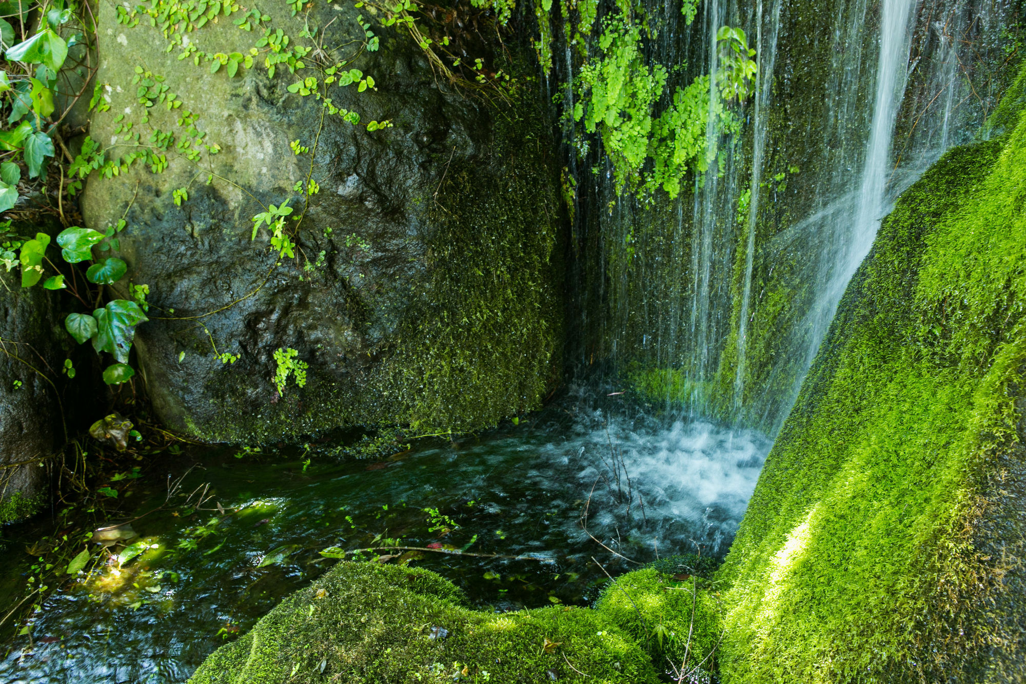 ホテル ゆがわら万葉荘 湯河原町 エクステリア 写真